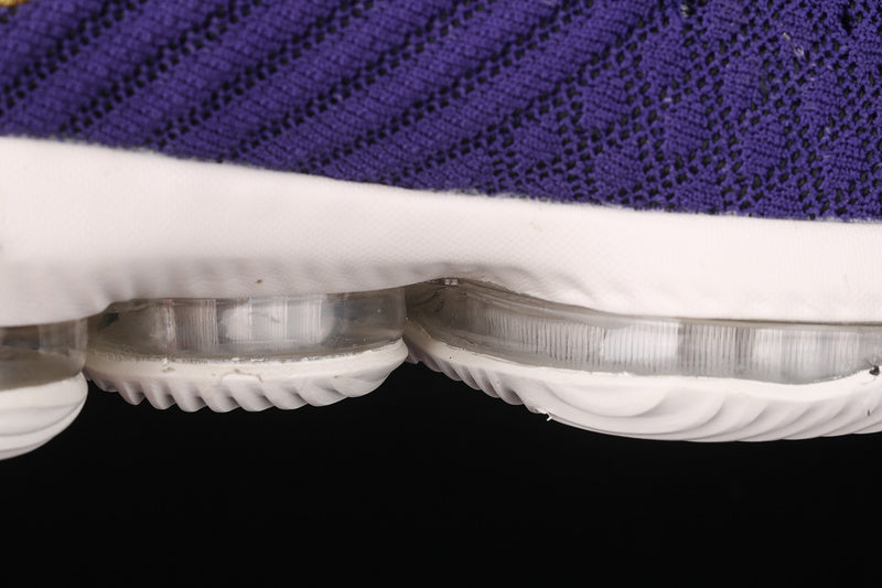 Nike LeBron 16  King Count Purple