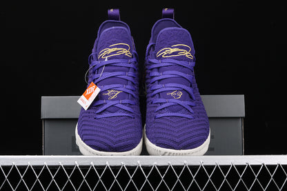 Nike LeBron 16  King Count Purple