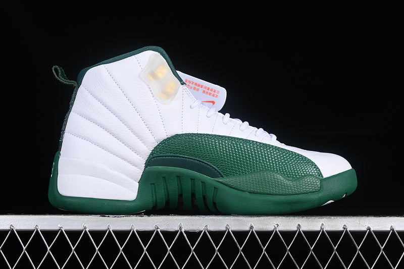 Air Jordan Retro 12 Ray Allen/White